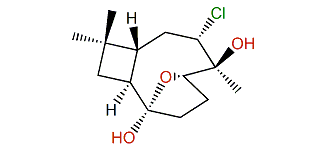 Rumphellatin B